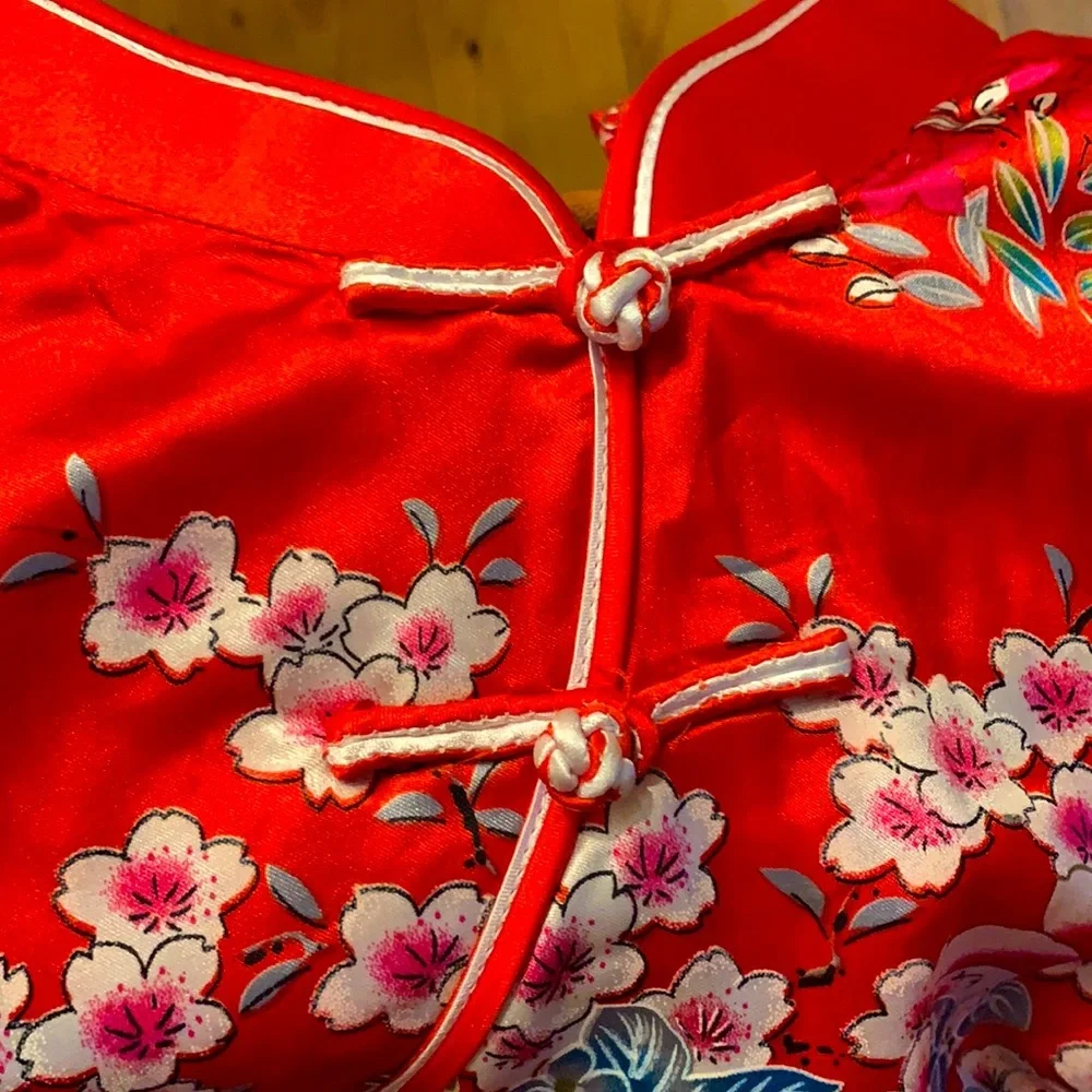 Qipao Inspired Fitted Silk Dress - Picture 5 of 7